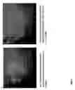 Fig. 08 - Biological complexes and methods for using same