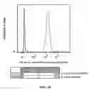 Fig. 11 - Biological complexes and methods for using same
