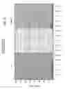 Fig. 22 - Biological complexes and methods for using same