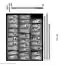 Fig. 39 - Biological complexes and methods for using same