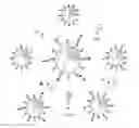 Fig. 01 - Nanoparticle immunoconjugates