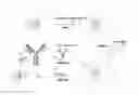 Fig. 01 - NANOPARTICLE CONJUGATES AND USES THEREOF