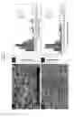 Fig. 03 - ANTIBACTERIAL NANOFIBRES