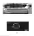 Fig. 04 - Magnetically templated tissue engineering scaffolds and methods of making and using the magnetically templated tissue engineering scaffolds