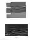 Fig. 06 - Magnetically templated tissue engineering scaffolds and methods of making and using the magnetically templated tissue engineering scaffolds