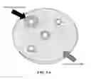 Fig. 06 - Implantable devices for bone or joint defects
