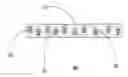 Fig. 01 - Tissue-separating fatty acid adhesion barrier