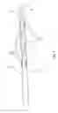 Fig. 02 - Constant pressure syringe for surgical use