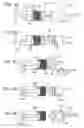 Fig. 05 - ADIPOSE TISSUE COMBINATIONS, DEVICES, AND USES THEROF