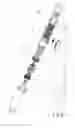 Fig. 07 - Automatic applicator for liquid pharmaceutical preparations, particularly for insulin