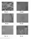 Fig. 03 - MICROSTRUCTURE-BASED DRUG DELIVERY SYSTEM COMPRISING MICROPOROUS STRUCTURE