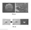 Fig. 04 - MICROSTRUCTURE-BASED DRUG DELIVERY SYSTEM COMPRISING MICROPOROUS STRUCTURE