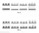 Fig. 20 - MICROSTRUCTURE-BASED DRUG DELIVERY SYSTEM COMPRISING MICROPOROUS STRUCTURE
