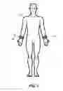 Fig. 02 - Systems and methods for electrostimulation therapy of plants