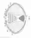 Fig. 03 - ELECTRODE FOR SENSING, PACING, AND DEFIBRILLATION DEPLOYABLE IN THE MEDIASTINAL SPACE