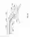 Fig. 24 - ELECTRODE FOR SENSING, PACING, AND DEFIBRILLATION DEPLOYABLE IN THE MEDIASTINAL SPACE