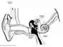 Fig. 01 - Hearing auxiliary device and hearing auxiliary processing method