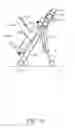 Fig. 03 - Ankle Range of Motion Improving Device