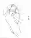 Fig. 07 - Training and rehabilitation device