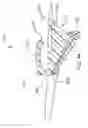 Fig. 28 - Coupleable fin apparatuses and boot toe bodies