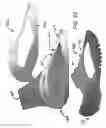Fig. 43 - Coupleable fin apparatuses and boot toe bodies