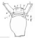 Fig. 49 - Coupleable fin apparatuses and boot toe bodies