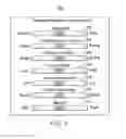 Fig. 04 - CONFIGURING TRANSLATION OF THREE DIMENSIONAL MOVEMENT