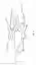 Fig. 05 - Self-Flapping Bird Wing Device