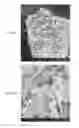 Fig. 04 - Base material-integrated nanocrystalline metal oxide composite-containing catalyst, method for manufacturing the same, and catalyst component