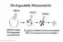 Fig. 01 - Apparatus for a mass production of monodisperse biodegradable polymer-based microspheres and a multi-channel forming device incorporatable therein