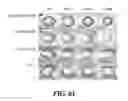 Fig. 76 - Apparatus for a mass production of monodisperse biodegradable polymer-based microspheres and a multi-channel forming device incorporatable therein