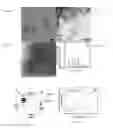 Fig. 10 - Biotemplated perovskite nanomaterials