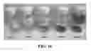 Fig. 13 - Biotemplated perovskite nanomaterials