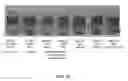 Fig. 17 - Biotemplated perovskite nanomaterials