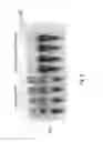 Fig. 09 - ENZYME ACTIVITY ASSAY SYSTEM AND DEVICES