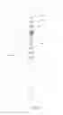 Fig. 07 - Pipetting Device, Pipette Tip Coupler, and Pipette Tip: Devices and Methods