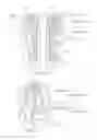 Fig. 25 - Pipetting Device, Pipette Tip Coupler, and Pipette Tip: Devices and Methods