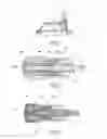 Fig. 04 - Dispensing device of a fluid substance