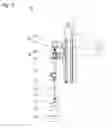 Fig. 03 - COATING METHOD AND COATING DEVICE