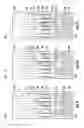 Fig. 06 - Fluid ejection apparatus with fluid supply floor filter
