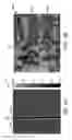 Fig. 08 - Method of fabricating patterned crystal structures