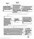 Fig. 05 - Processes for coating the interior surfaces of nonmetal pipes