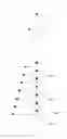 Fig. 20 - Tapered structure construction