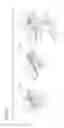 Fig. 25 - Press-formed article, press-forming method, and press-forming apparatus