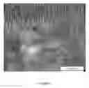 Fig. 08 - PRECIPITATION STRENGTHENED NICKEL BASED WELDING MATERIAL FOR FUSION WELDING OF SUPERALLOYS