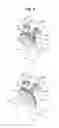 Fig. 05 - Articulated robot actuator