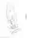 Fig. 09 - Hair clippers with flexing electrically adjustable blades