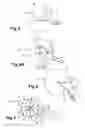 Fig. 03 - HAND TOOL FOR CUTTING AND SERVING PORTIONS OF CULINARY PREPARATIONS