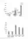 Fig. 02 - Self-repairing material and manufacturing method therefor
