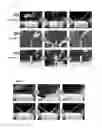 Fig. 07 - Self-repairing material and manufacturing method therefor